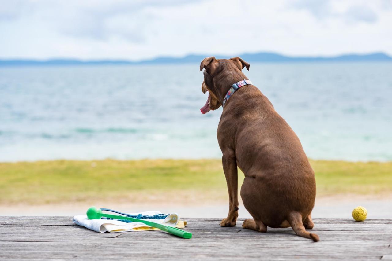 Driftwood Lodge Beachfront, Cable Bay, Northland Coopers Beach Bagian luar foto