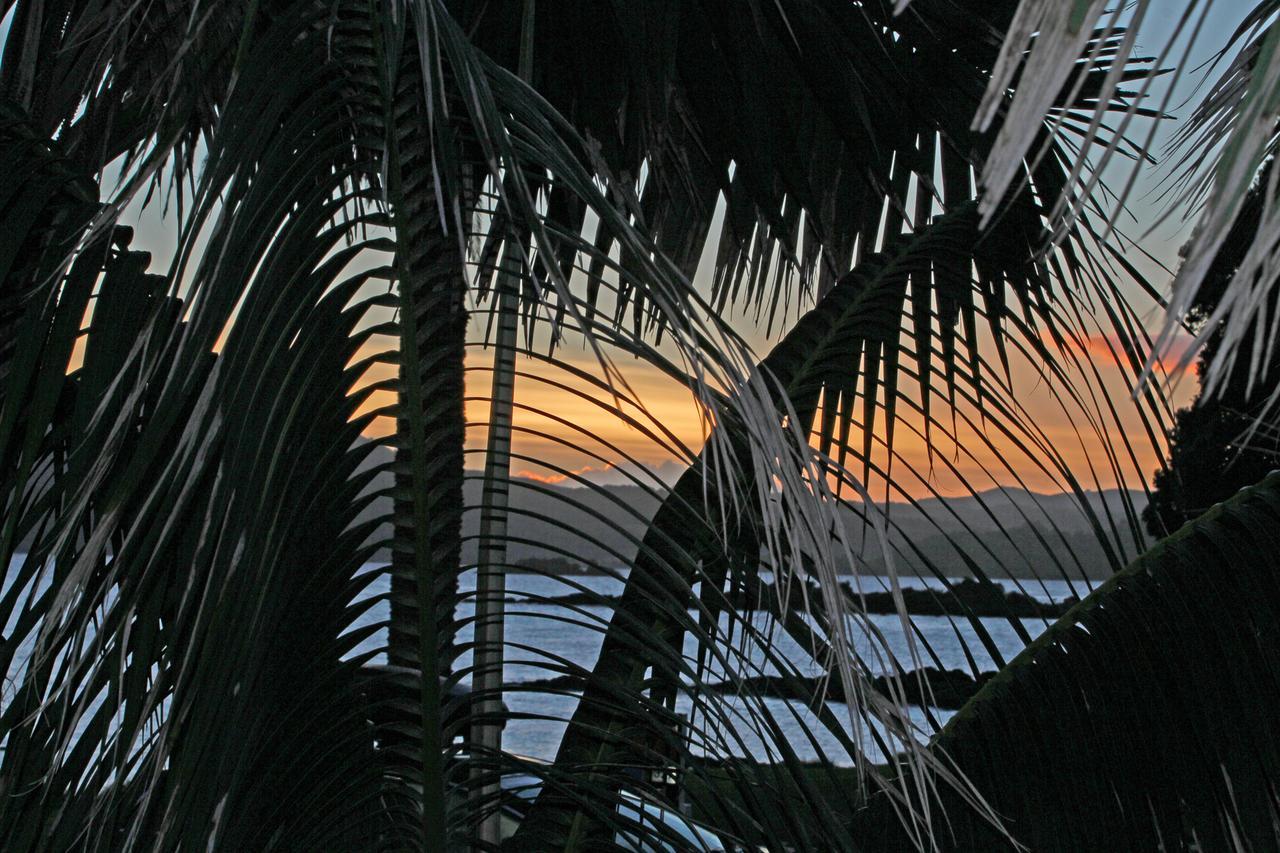 Driftwood Lodge Beachfront, Cable Bay, Northland Coopers Beach Bagian luar foto